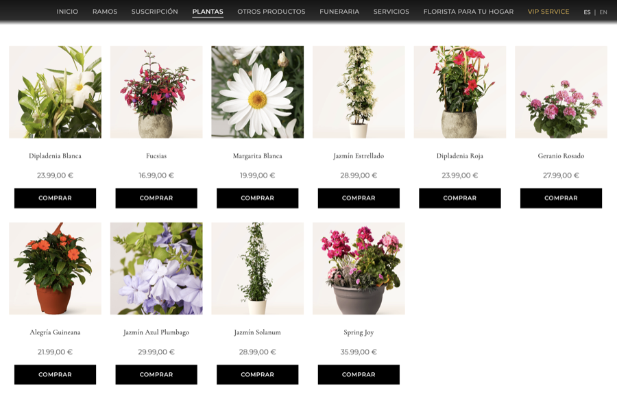 Tienda online de Verano Prado hecha con Priroda, categoría de plantas con precios